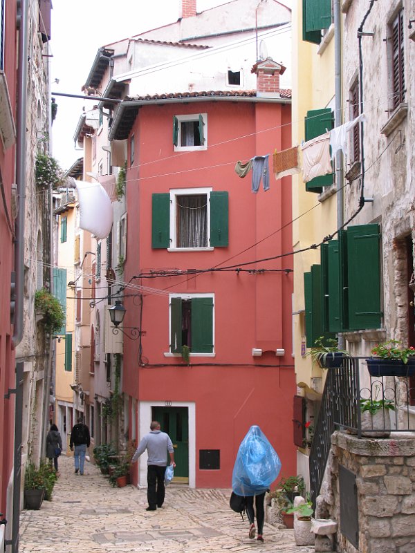 2012-09-13 13-02-45 Ludo.JPG